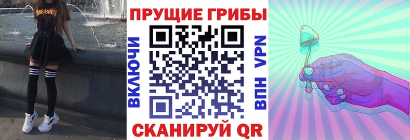 Псилоцибиновые грибы Psilocybine cubensis  KRAKEN сайт  Тюкалинск  купить  сайты 